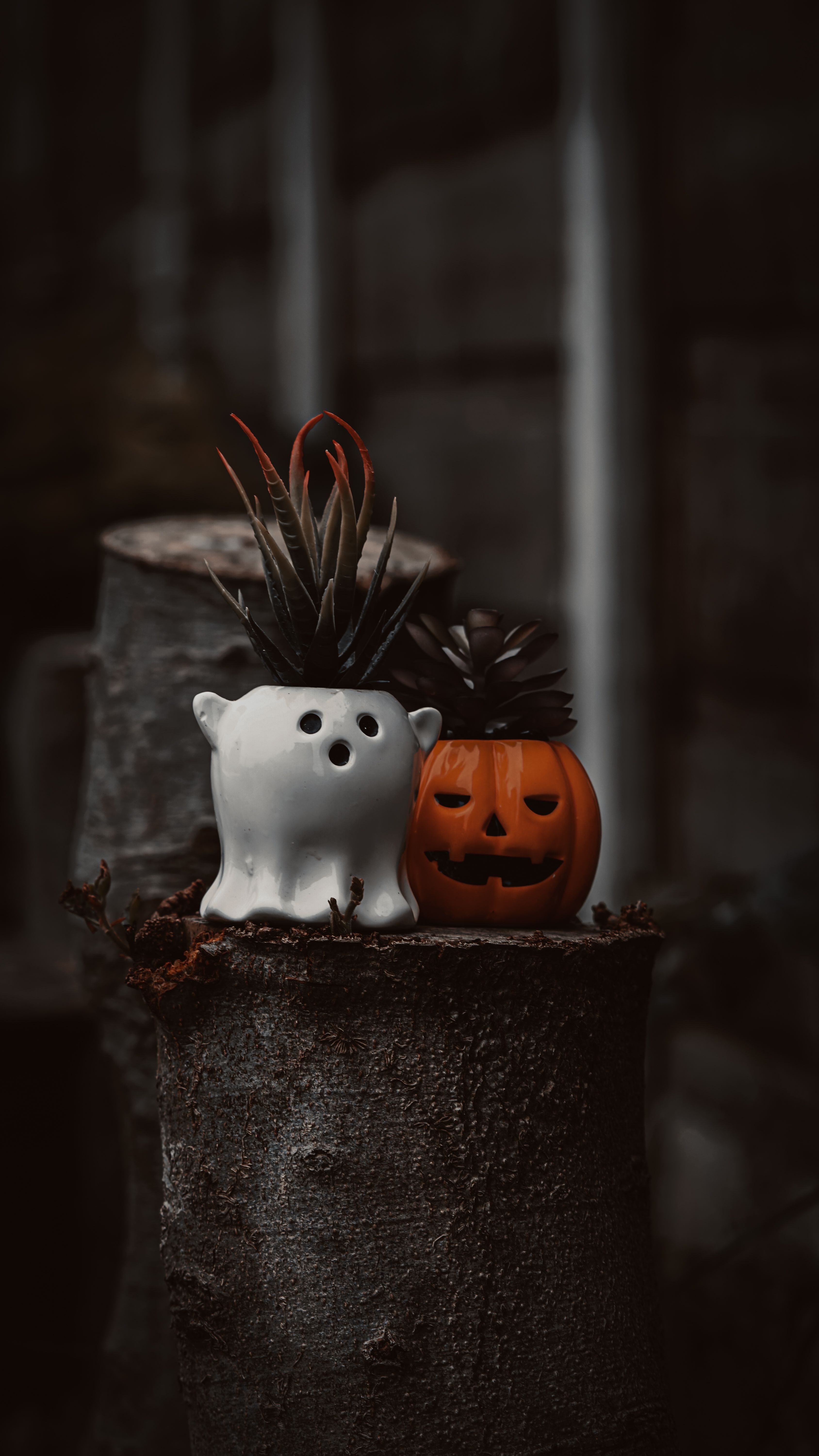 Spooky Halloween decor with ghost and pumpkin planters in a moody setting wallpaper