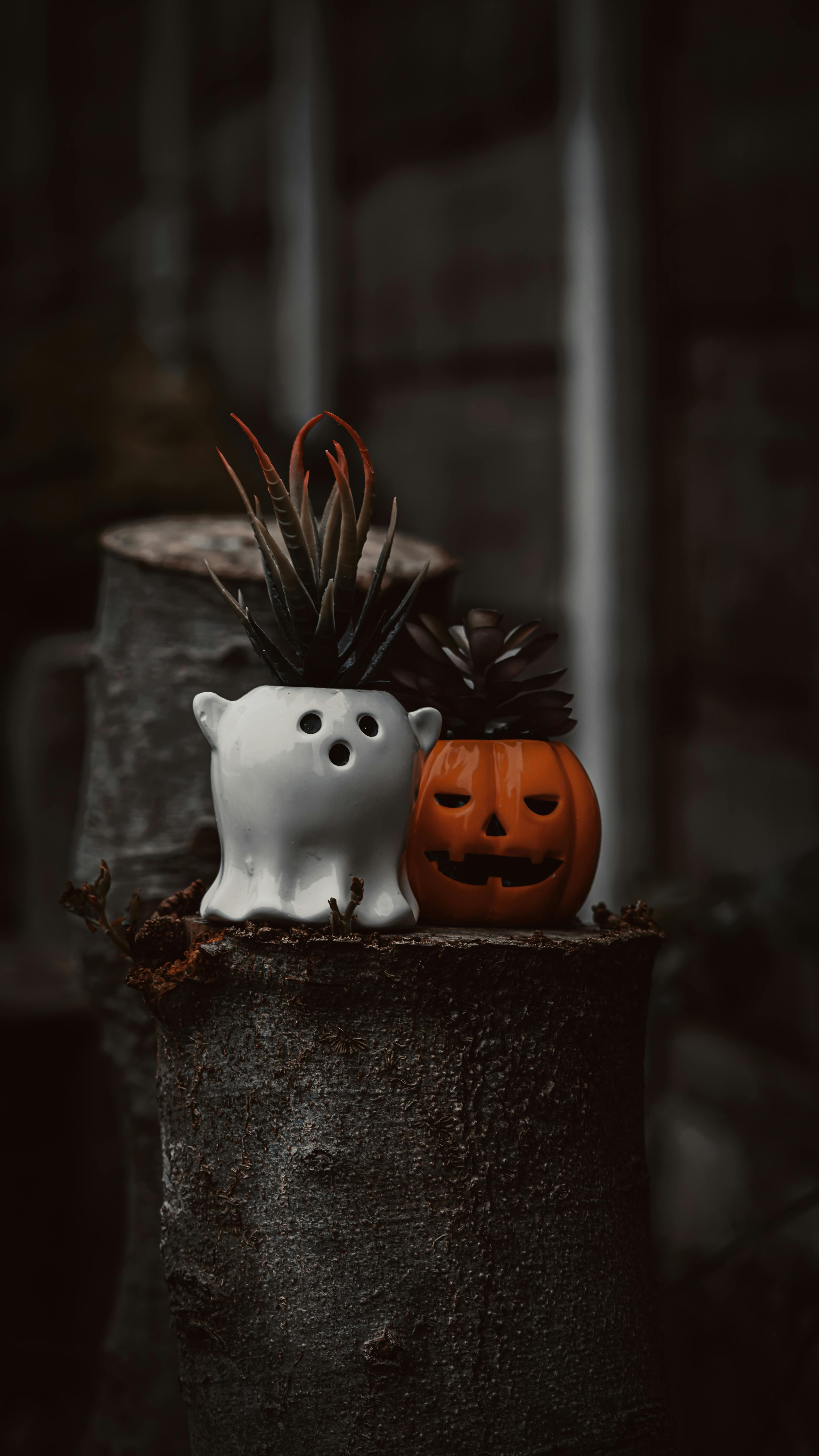 Pumpkin Spice Photos, Download The BEST Free Pumpkin Spice Stock Photos ...