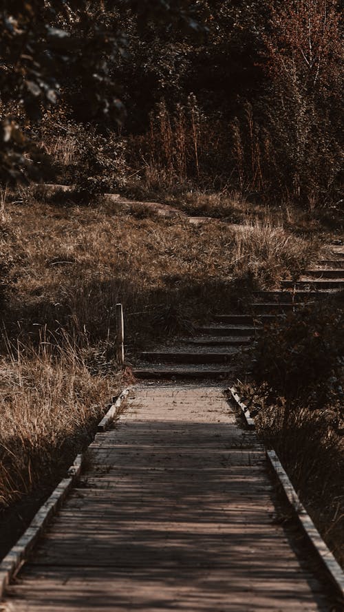 Country Footpath on Hill