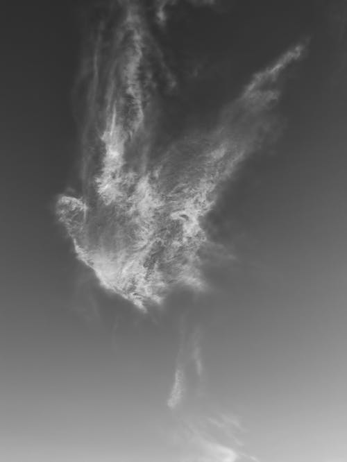 Grayscale Photo of Clouds in the Sky