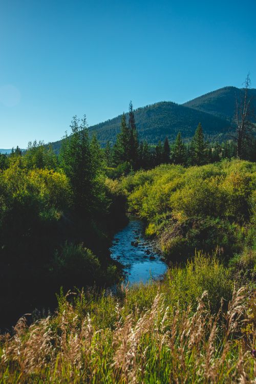 Free Breathtaking view of a serene creek meandering through a lush forest with mountain backdrop under clear blue sky. Stock Photo