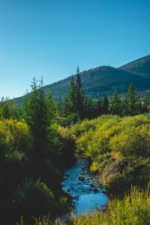 Free Serene mountain landscape featuring a winding river and lush greenery under a clear blue sky. Stock Photo