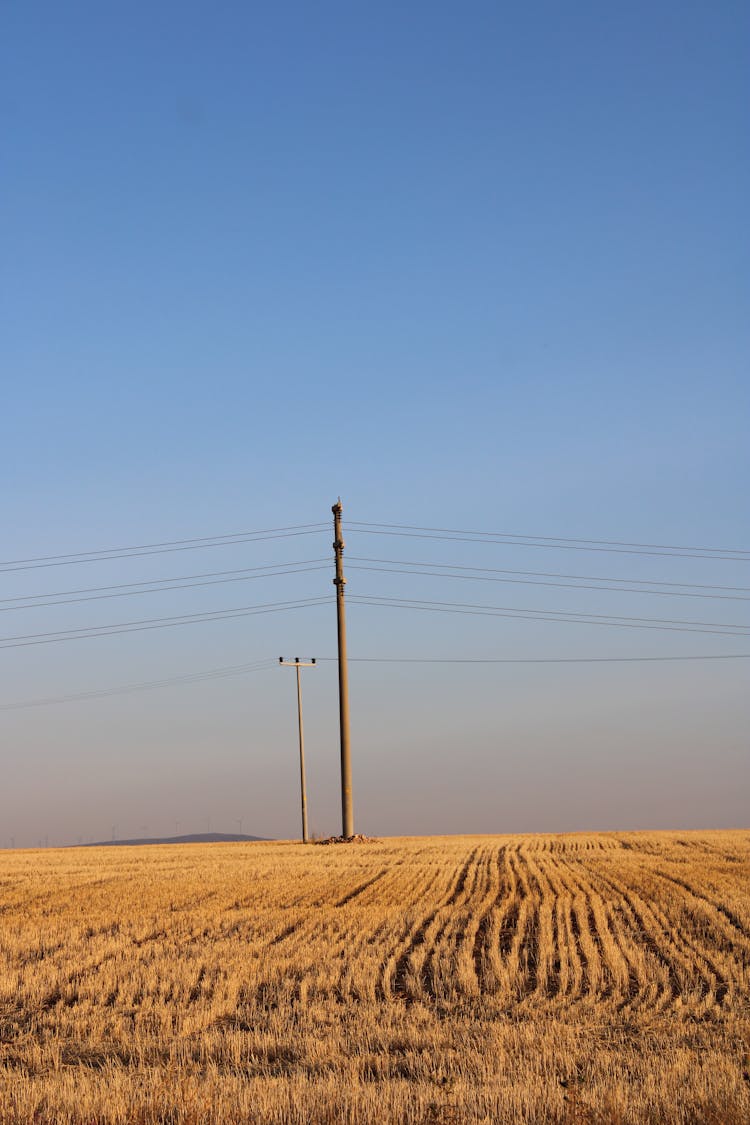 Electricity Poles On A Brown Grass Field