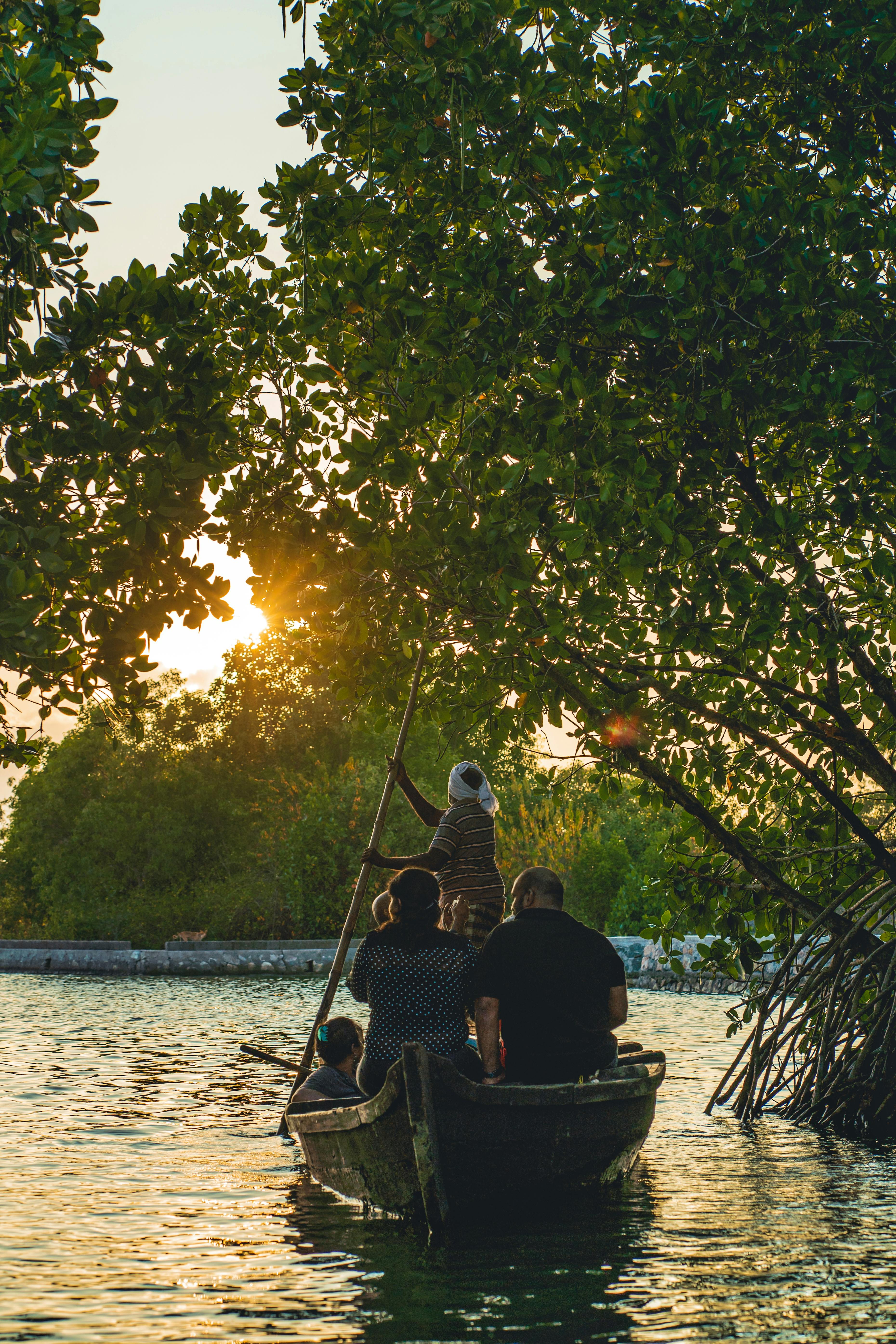 What are the 5 laws of human nature?