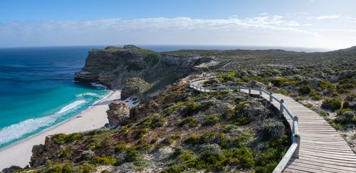 Free Panoramic seascape of Cape Point with boardwalk and stunning ocean views. Stock Photo