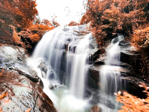 Foto profissional grátis de bonito, cachoeira, declínio