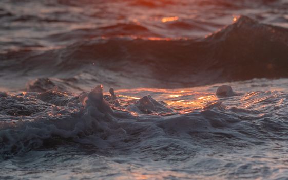 Beautiful sunset illuminating ocean waves with vibrant reflections and sea foam.