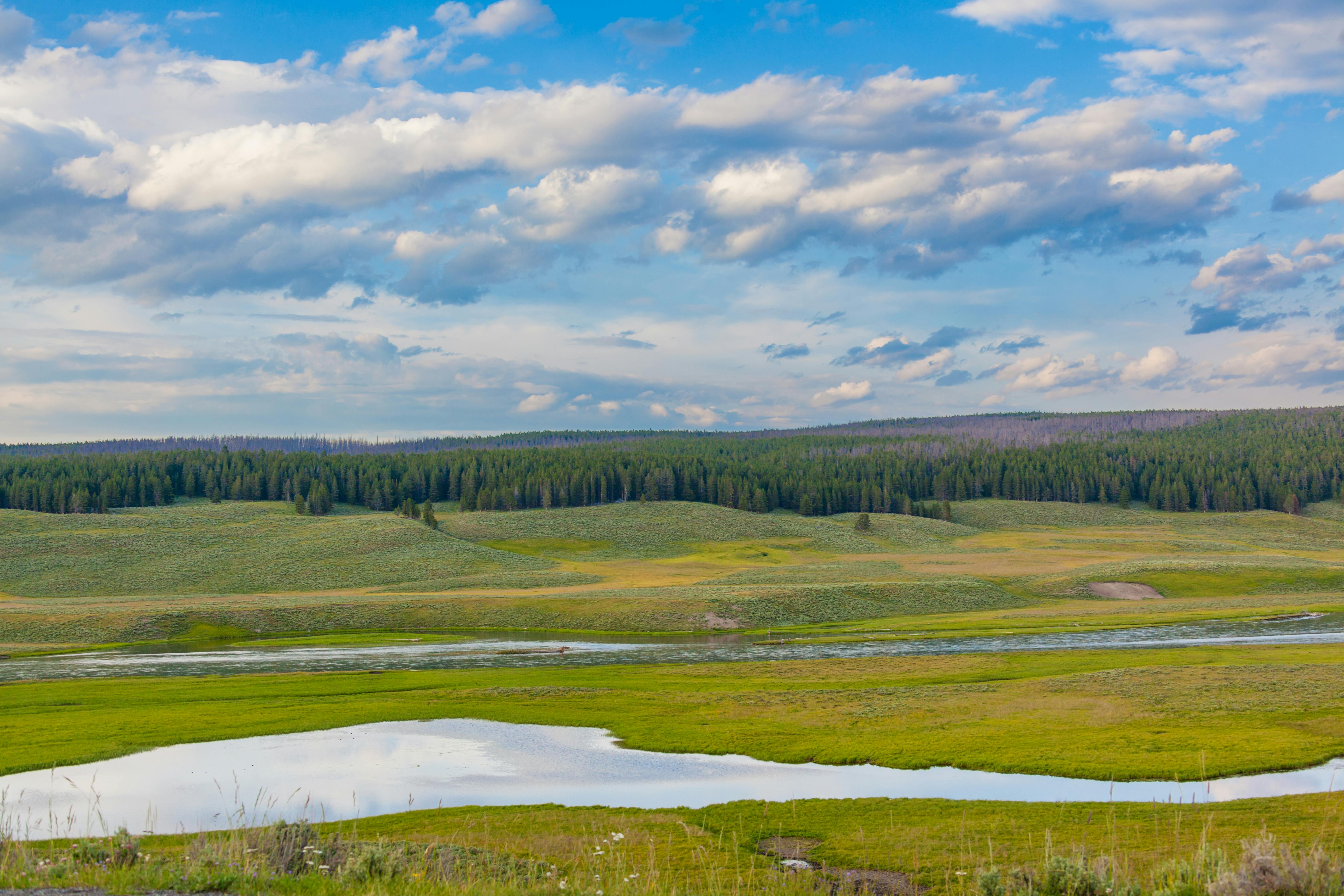 landscape of the hayden valley in yellowstone national park usa