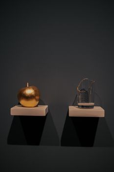 Artistic composition of a golden apple and broken glass on shelves against a dark wall. — photo by Hatice Baran