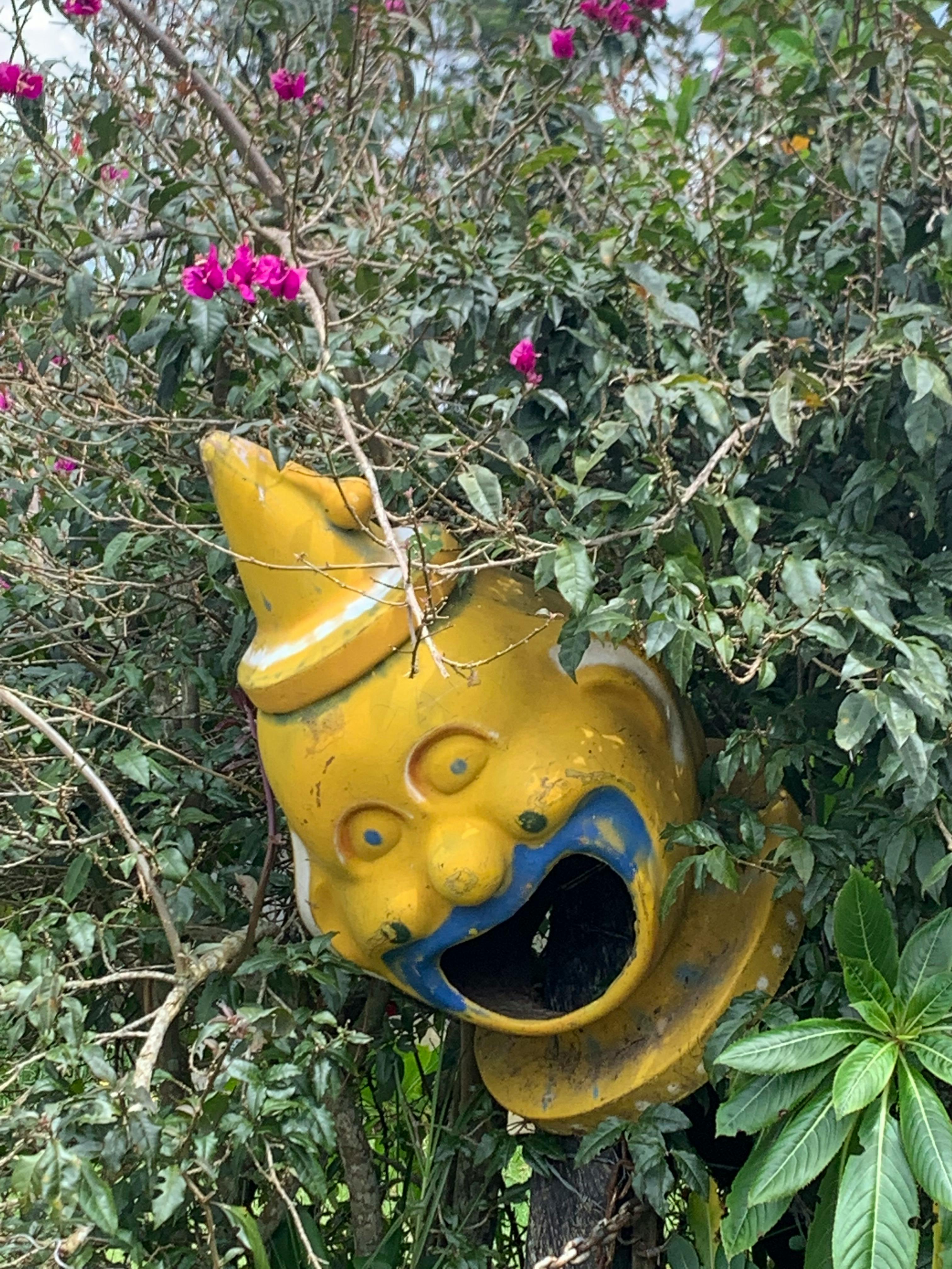 Daniel Pinto Fotografía