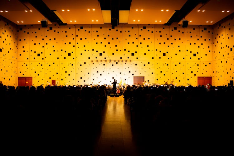 Orchestra Playing A Concert