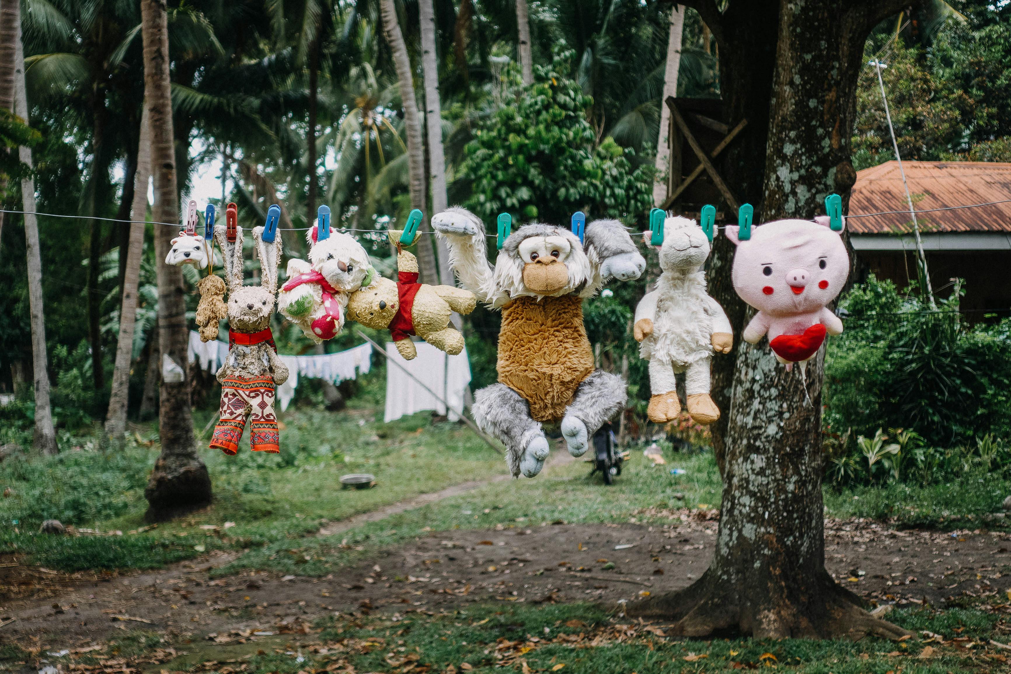 Foto de stock gratuita sobre al aire libre, arboles, césped