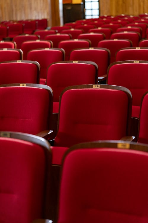 Gratis lagerfoto af auditorium, ingen, lodret skud