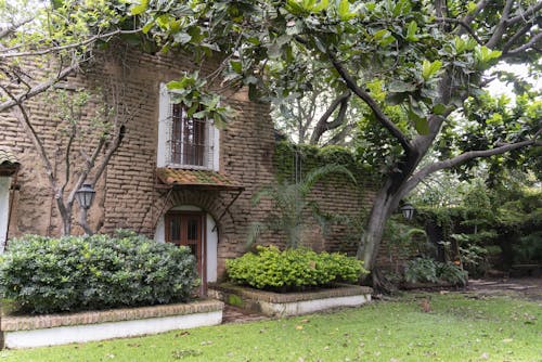 Plants outside a Brick House