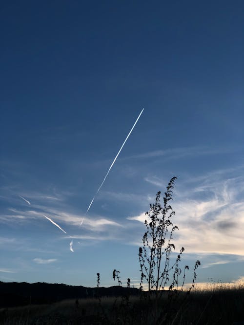 Fotos de stock gratuitas de campo de hierba, cielo azul, nubes
