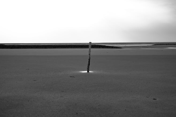 Grayscale Photo Of A Stick On Sand