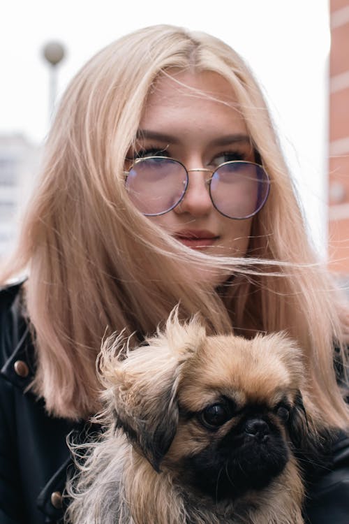 Gratis stockfoto met babyhondje, blond haar, bril