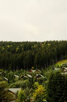 Charming village nestled in a forest landscape, surrounded by lush greenery and autumn colors.