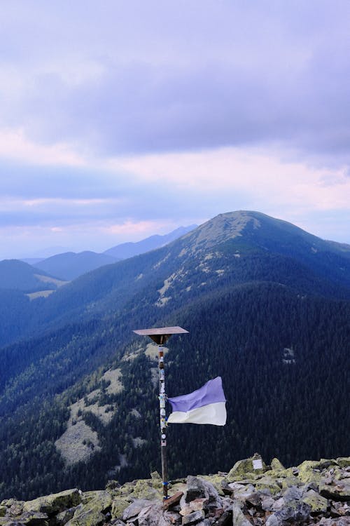 Základová fotografie zdarma na téma hory, krajina, les