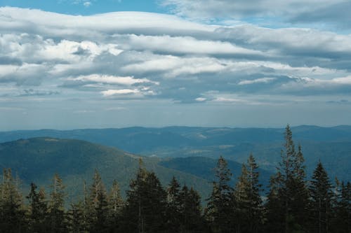 Green Trees on Mountain Under White Clouds