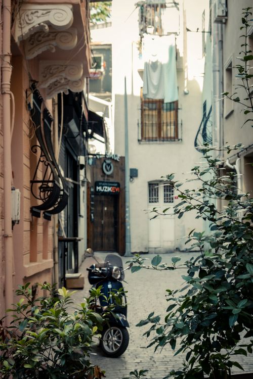 Free A peaceful narrow alleyway with lush greenery and a parked scooter, showcasing urban tranquility. Stock Photo