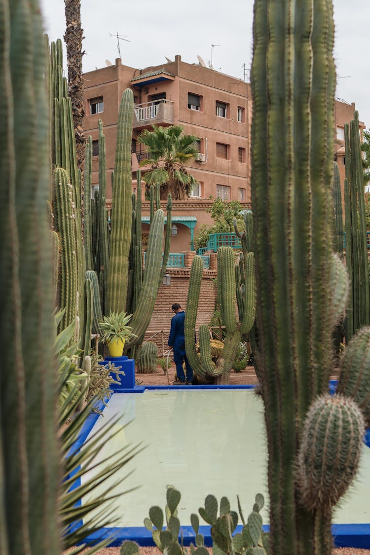 Gardener Watering Plants