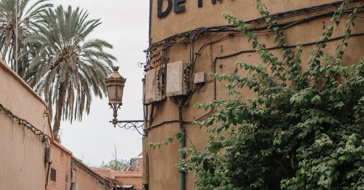 Explore the vibrant alleyway view with lush greenery and historic architecture in Marrakesh, Morocco.