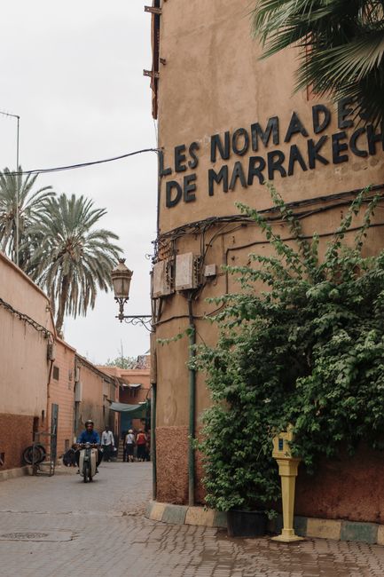 Explore the vibrant alleyway view with lush greenery and historic architecture in Marrakesh, Morocco.