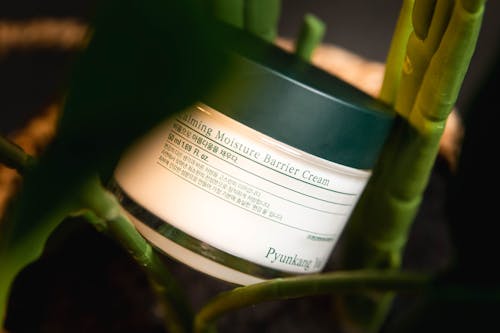 Jar of Skin Care Cream Between Plant Stalks
