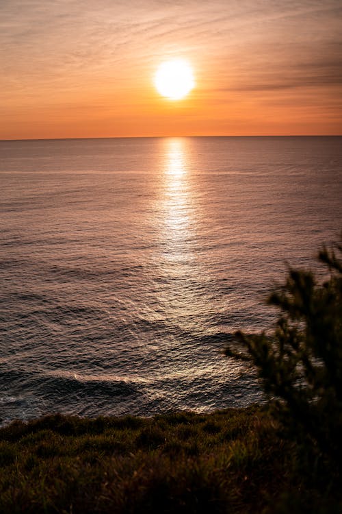 Foto profissional grátis de costa, Hora dourada, horizonte
