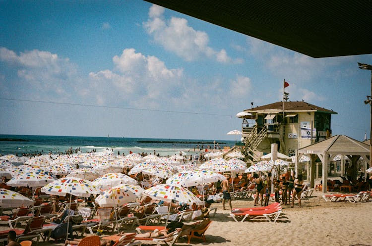 Crowd Of People On Shore