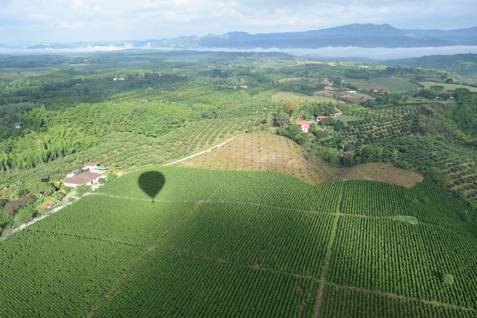 Outstanding Private Tour in Guatapé Review: An Unforgettable Colombian Adventure Review 2026 - Aerial view of green fields and hot air balloon shadow in Quindío, Colombia.