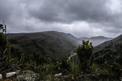 Gratis arkivbilde med bogota, colombia, elv