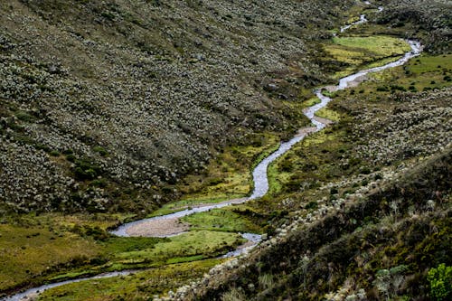 Gratis arkivbilde med bogota, elv, økosystem