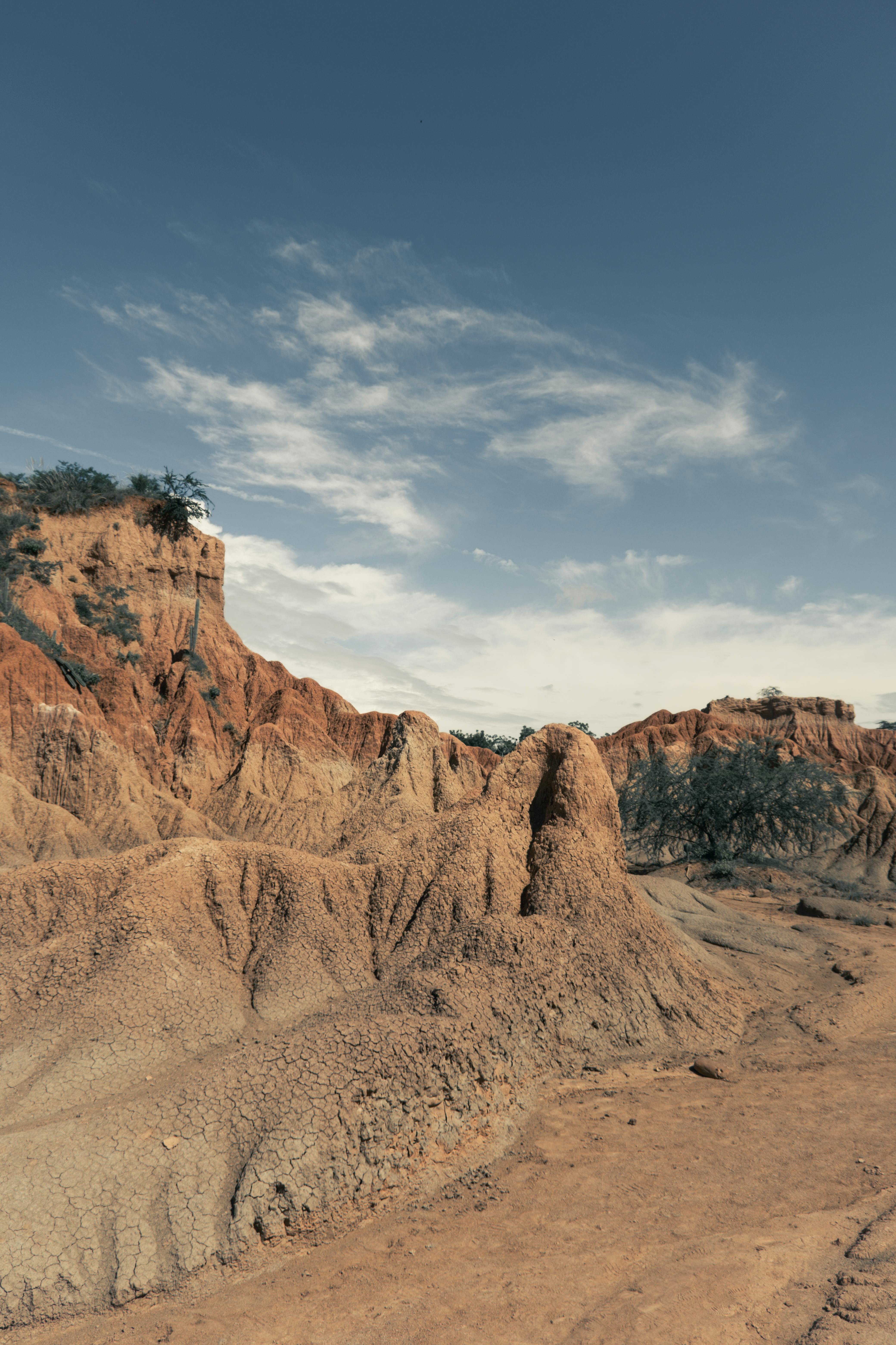 Is Zinc a DHT blocker?