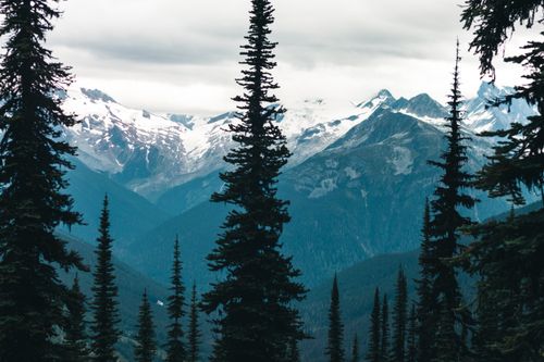 Free Breathtaking view of snow-covered mountains and dense forest in Glacier, British Columbia, Canada. Stock Photo