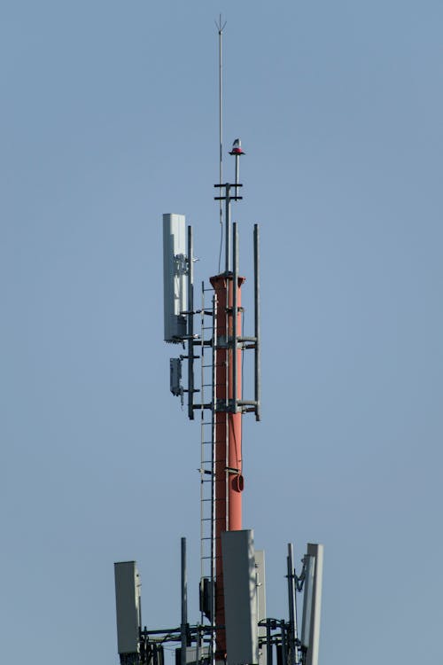 Ilmainen kuvapankkikuva tunnisteilla antenni, korkea, pystysuuntainen laukaus