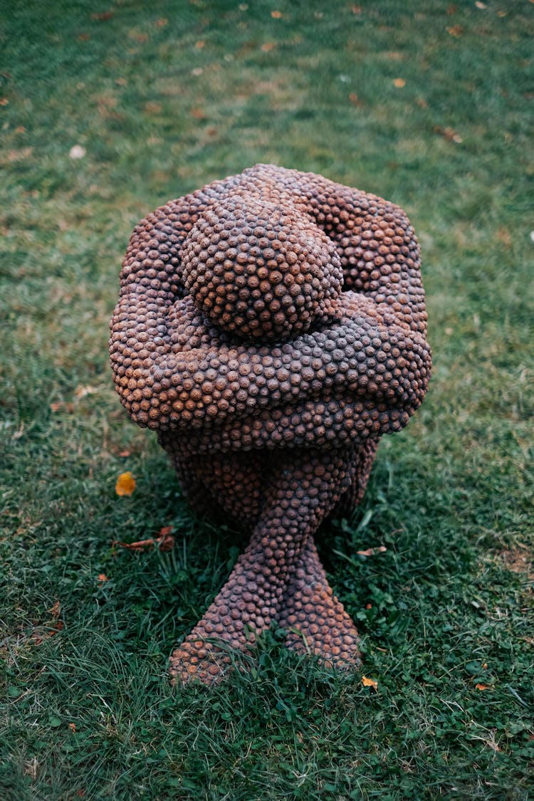 Figure Of A Man Made From Acorns On Green Grass