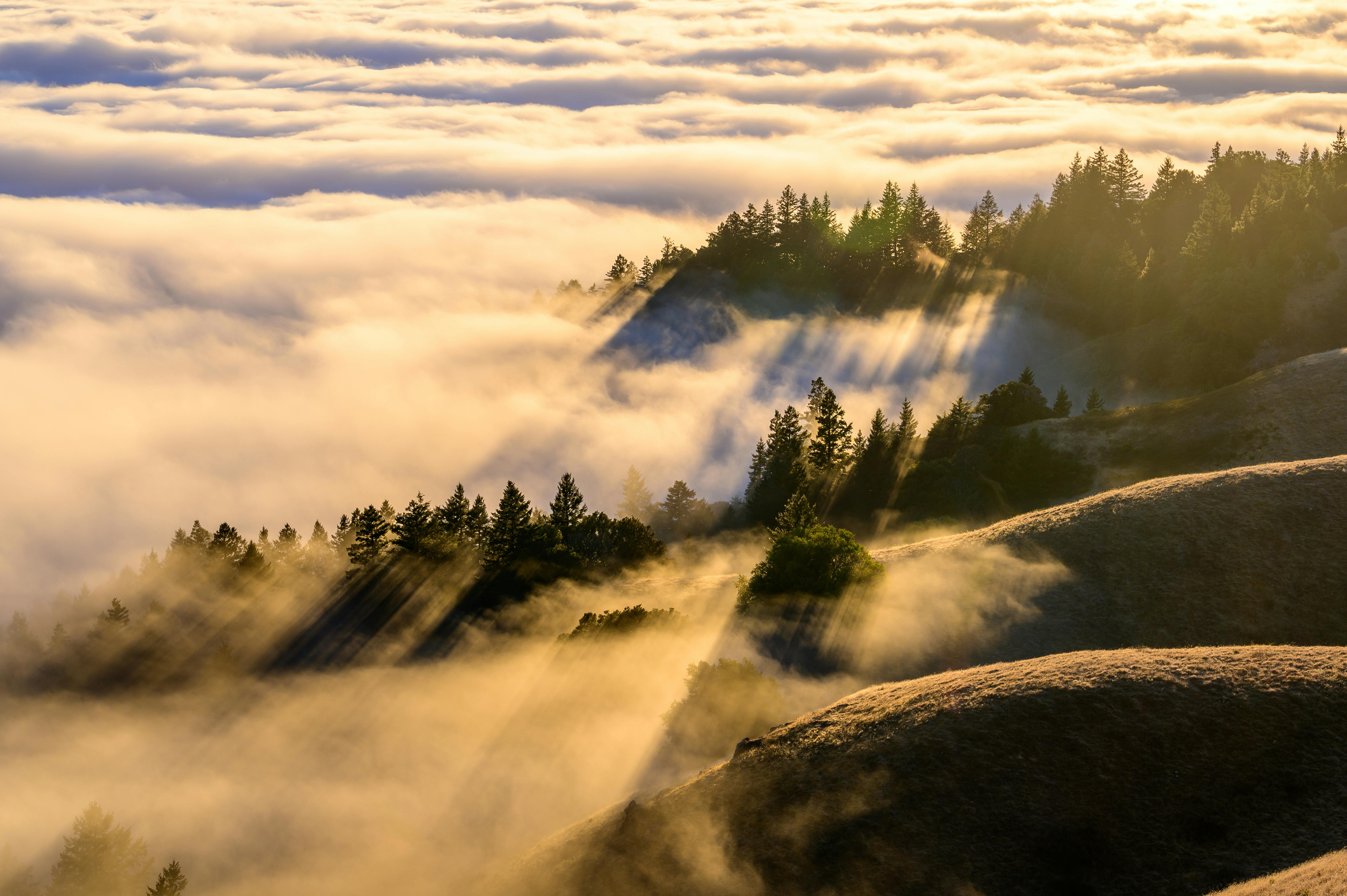 Announcing the Cloudflare Browser Developer Program — Photo by Zetong Li on Pexels