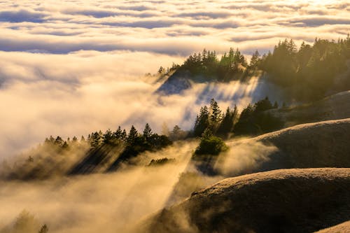 Green Pine Trees on Mountain Under White Clouds