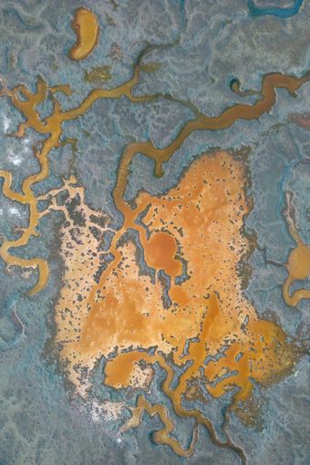 Aerial abstract of tidal channels — photo by Zetong Li on Pexels