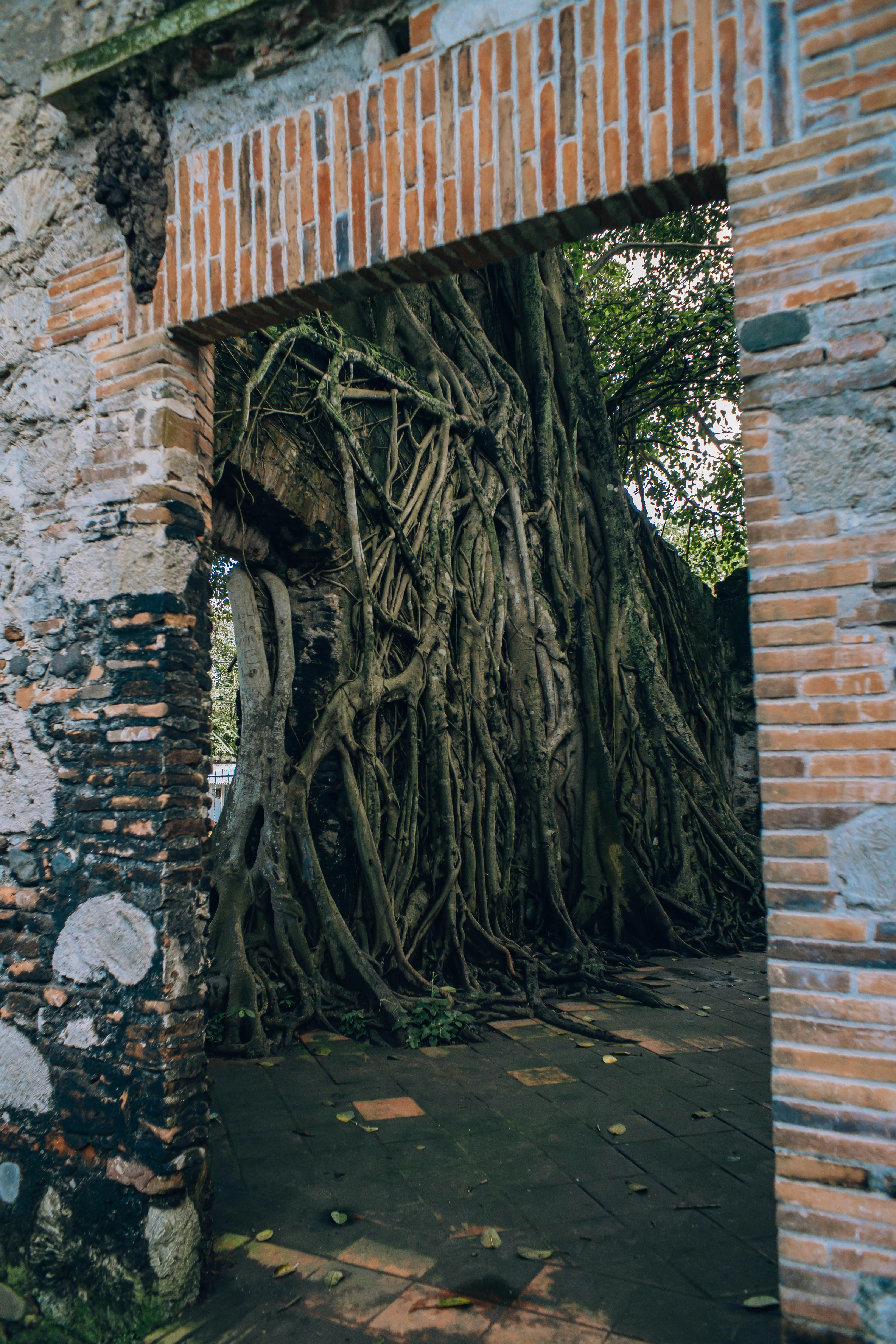 The Ship Inn Lower Park Row Bristol: Discover Hidden Culinary Gems 2 Top 5 Unique Beverages to Try at The Ship Inn Lower Park Row: Sip Your Way to Bliss