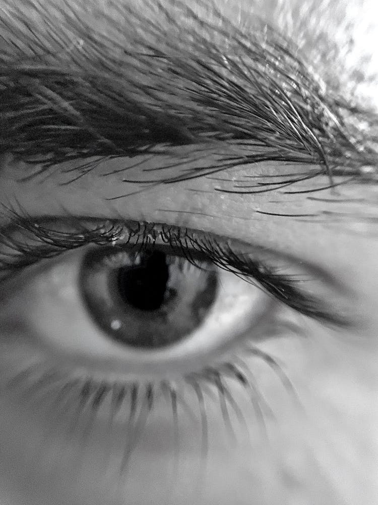 A Close-up Shot Of A Persons Eye