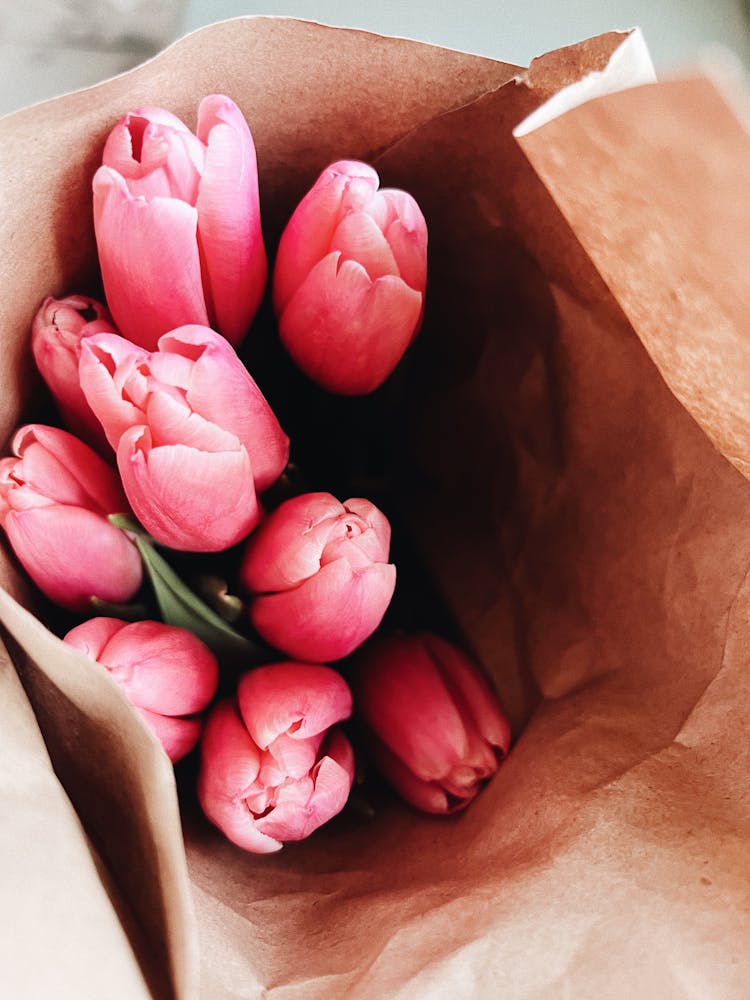 Pink Tulips In Paper Packaging 