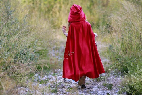 Girl With Red Hood Walking on Rocky Path Between Grasses