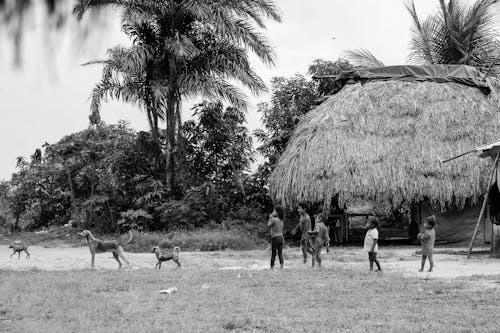 Fotos de stock gratuitas de blanco y negro, cabaña, chavalas