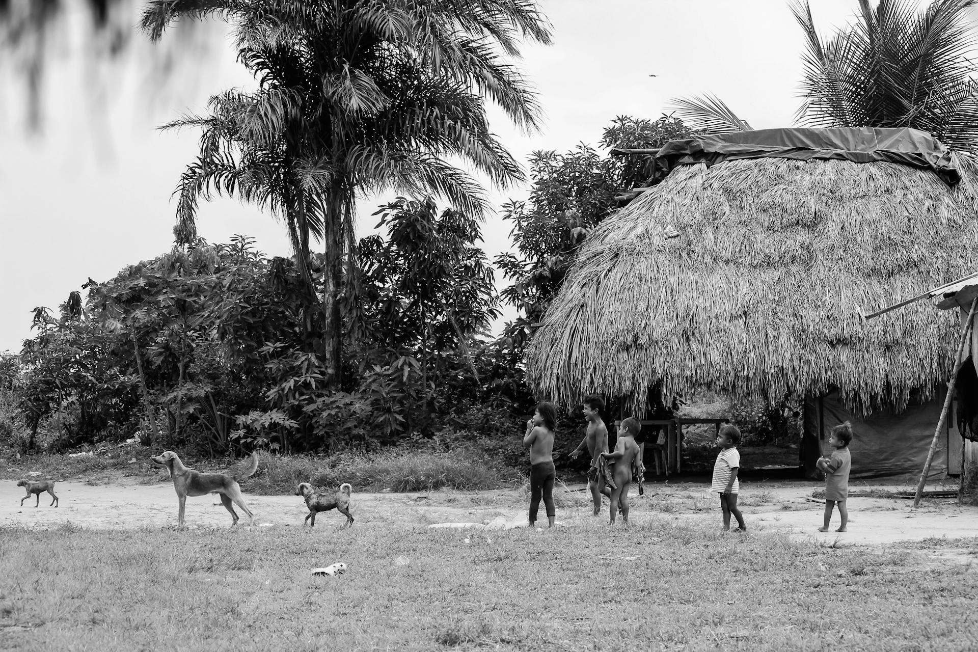 Children and Dogs in front of Hut