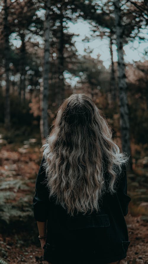 Gratis stockfoto met achteraanzicht, Bos, haar