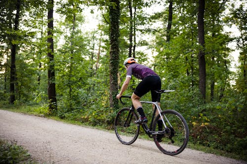 Fotos de stock gratuitas de bicicleta, bicicleta de carretera, bosque