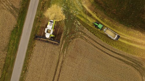 Combine Harvester and Tractor with Trailer on Field